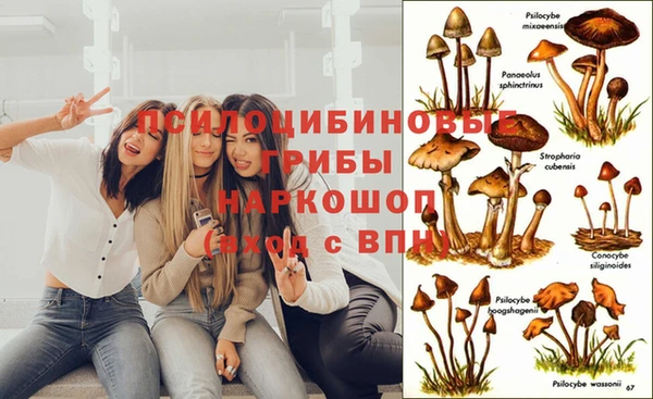 прущая мука Алексин