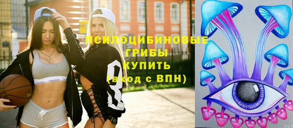 стаф Алексеевка